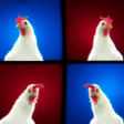 Techno Chicken Song - CoCoCo APK